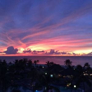 Meet your Posher, Ann